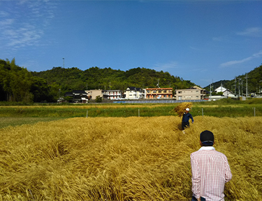 Laboratory of Agronomy