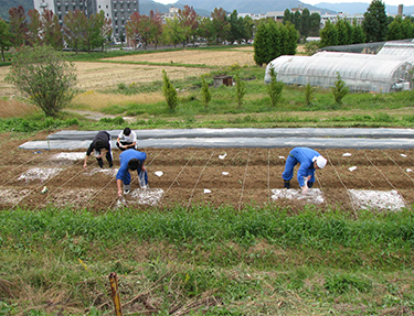 Laboratory of Environmental Soil Science