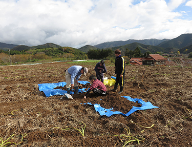 Laboratory of Environmental Soil Science