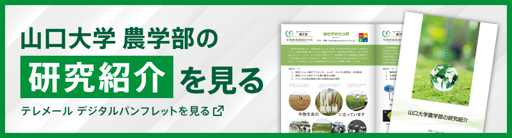 研究紹介冊子