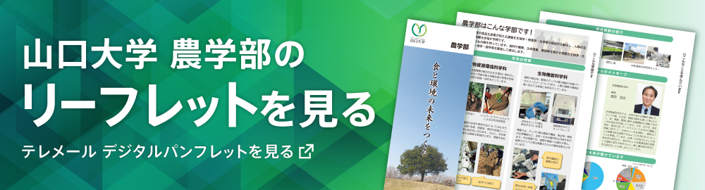 リーフレット