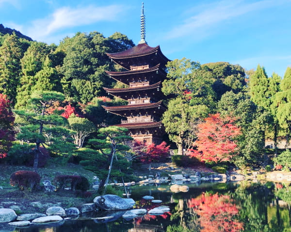 紅葉に彩られた庭園の中に建つ、五重塔と池が美しく調和した風景
