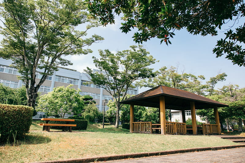 木々に囲まれた大学キャンパス内の広場に、東屋とベンチが設置されている風景