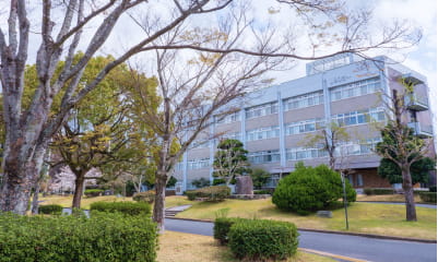 晴れた空の下、整備された遊歩道と植栽が広がる落ち着いた環境