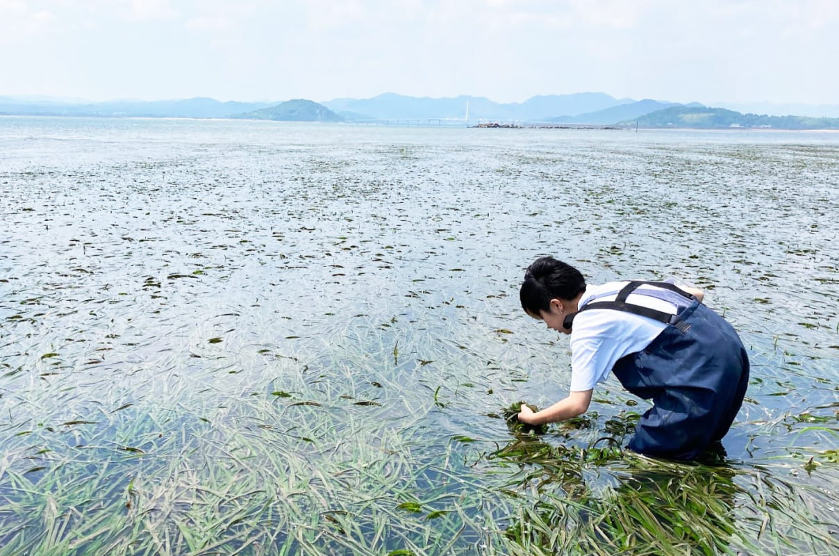 背景には穏やかな海と遠くの山々が広がり、環境調査の現地実習の様子