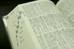 Intensive Japanese Language Program