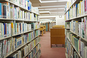 Library's Guide