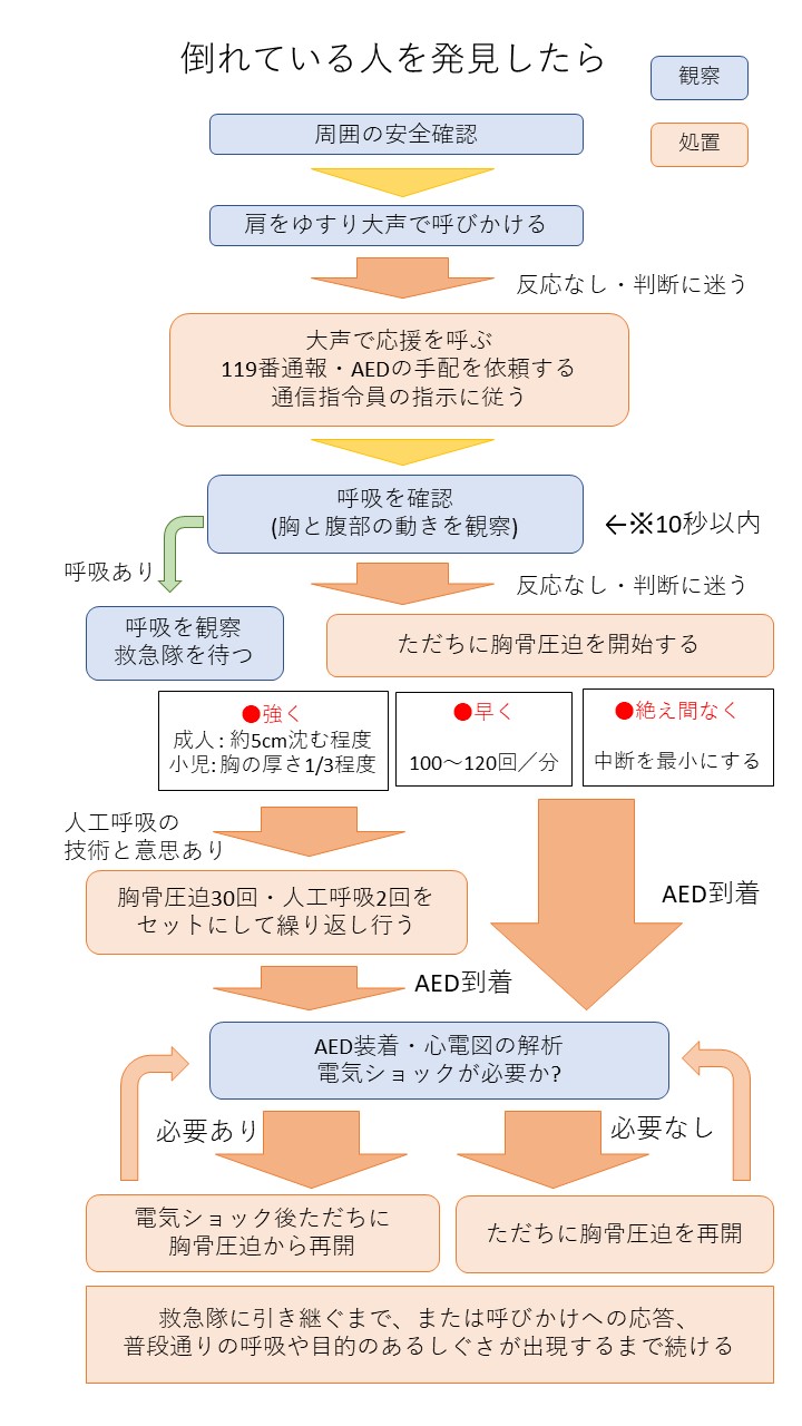 AED使用による救命活動の手順（ガイドライン2020）