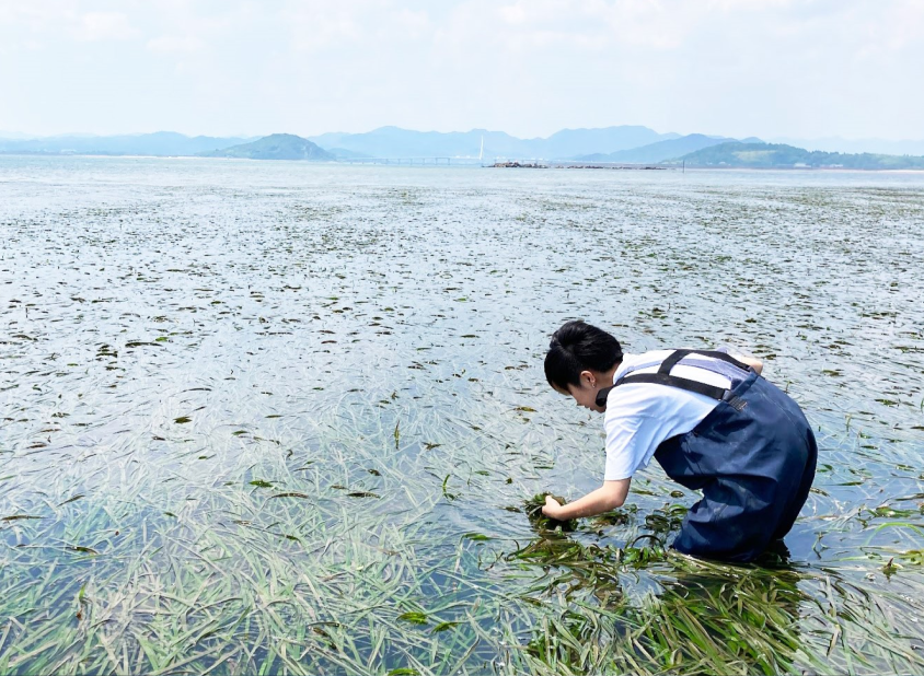 創成工学科 国土・環境デザイン系