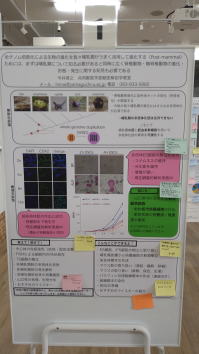 $BIUd5$,E=$i$l$?(BN0.1