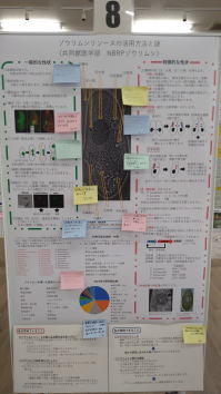 $BIUd5$,E=$i$l$?(BN0.8