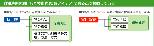 特許は登録に審査が必要・高度なもの，実用新案は登録に審査が不要・早期に考案を保護する目的もある