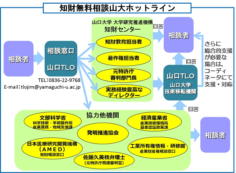 free-phone-consultation_3