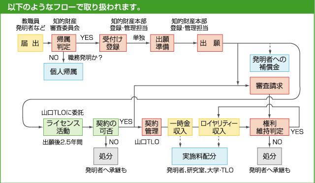 ※詳しくは，お問い合わせください