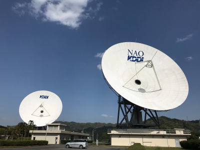 �p���{���A���e�i�̎ʐ^