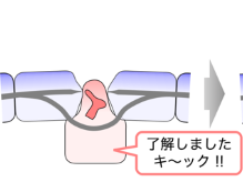 魚の傷をあっという間に修復するのは細胞たちのホワイト企業！？