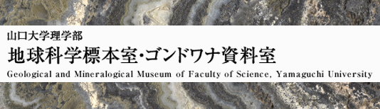 地球科学標本室・ゴンドワナ資料室