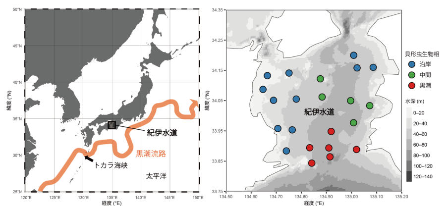 黒潮がつくる海底生物群集の分布構造を解明