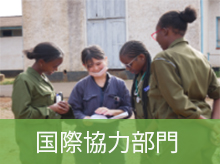 国際協力部門