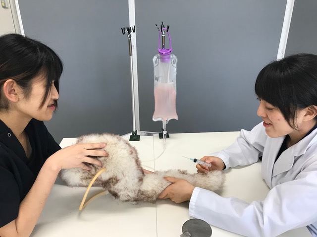 スキルスラボの様子