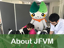 About JFVM