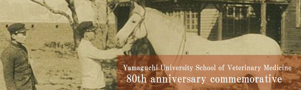 80th anniversary commemorative