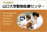 山口大学動物医療センター