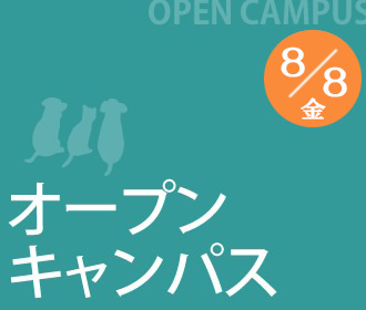 オープンキャンパス