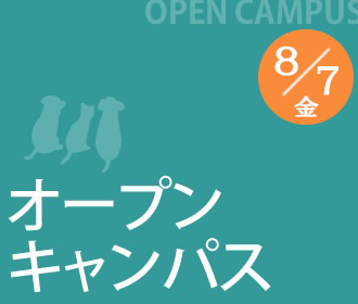 オープンキャンパス