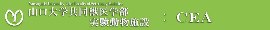 実験動物施設（CEA)｜山口大学 共同獣医学部