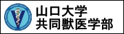 山大共同獣医学部