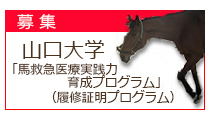 山口大学馬救急医療実践力育成プログラム（履修証明プログラム）