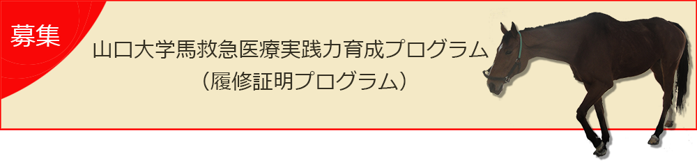 山口大学馬救急医療実践力育成プログラム（履修証明プログラム）募集