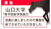 山口大学馬予防医学実践力育成プログラム(履修証明プログラム,一般の方向け)