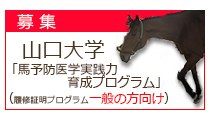 山口大学馬予防医学実践力育成プログラム（履修証明プログラム,一般の方向け）