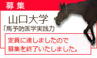 山口大学馬予防医学実践力育成プログラム（履修証明プログラム,一般の方向け）