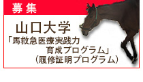 山口大学馬救急医療実践力育成プログラム(履修証明プログラム)