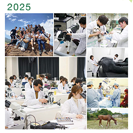 ガイドブック2025