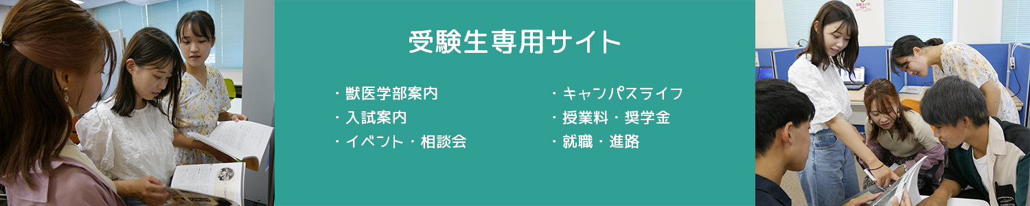 受験生専用サイト