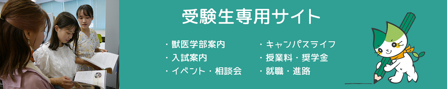受験生専用サイト