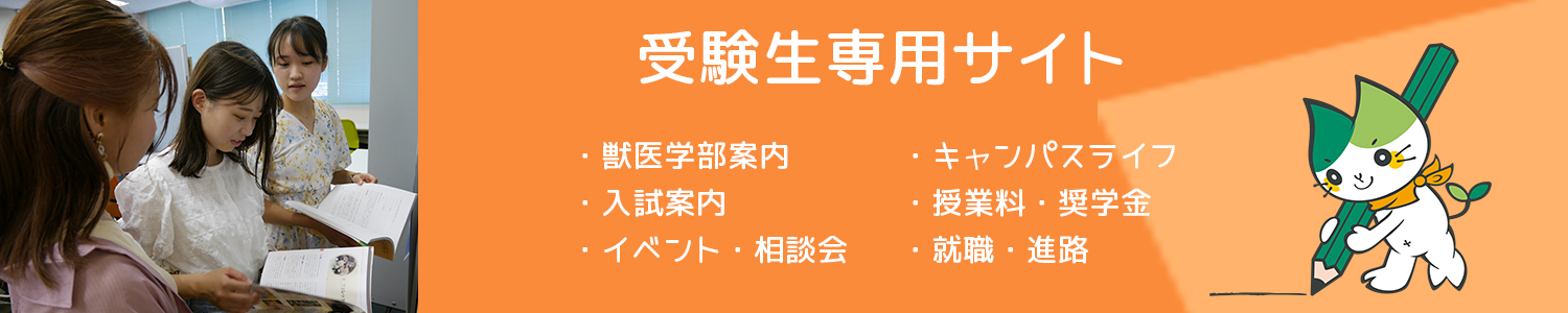 受験生専用サイト