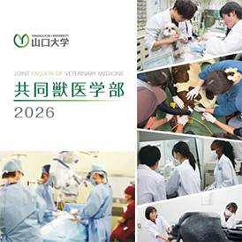 ガイドブック2026